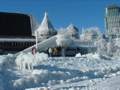 DSCF0049.JPG