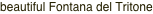 shapeimage_4_link_1