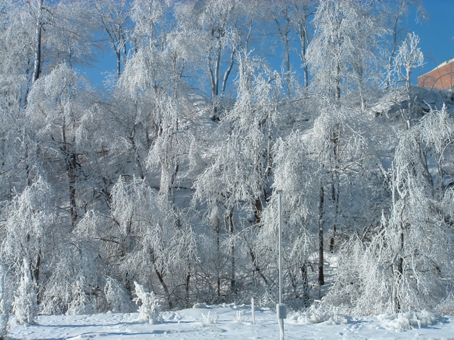 DSCF0037.JPG