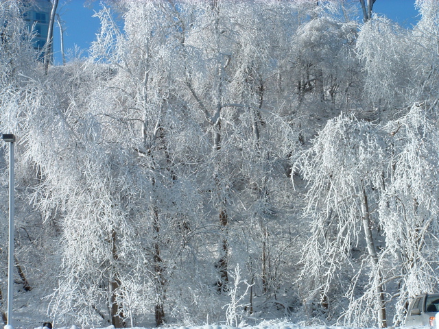 DSCF0057.JPG