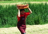 DSCF0164.JPG