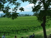 DSCF0168.JPG
