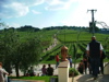 DSCF0213.JPG