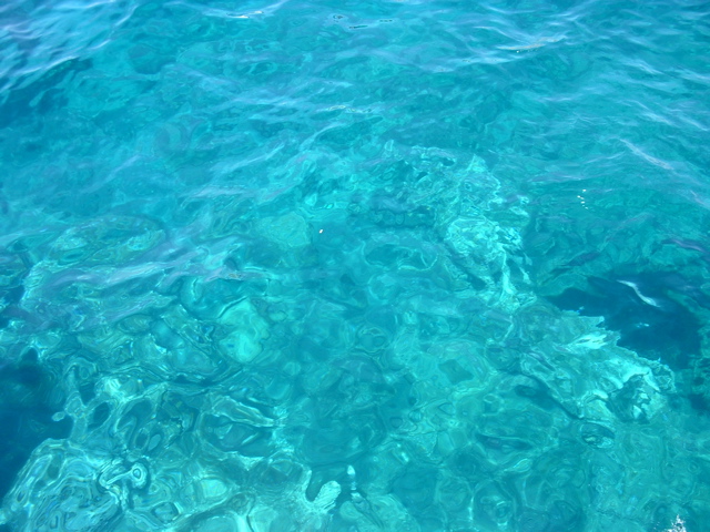 DSCF0024.JPG