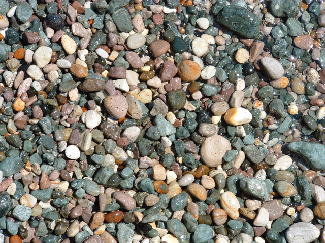 DSCF0082.JPG