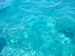 DSCF0024.JPG