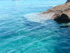 DSCF0036.JPG