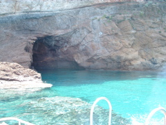 DSCF0040.JPG