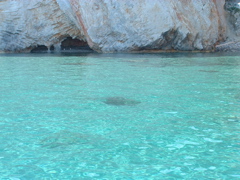 DSCF0045.JPG