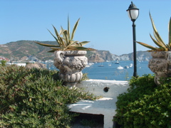 DSCF0011.JPG