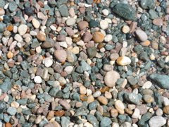 DSCF0082.JPG