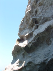 DSCF0087.JPG