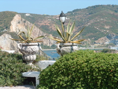 DSCF0015.JPG