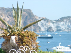 DSCF0016.JPG