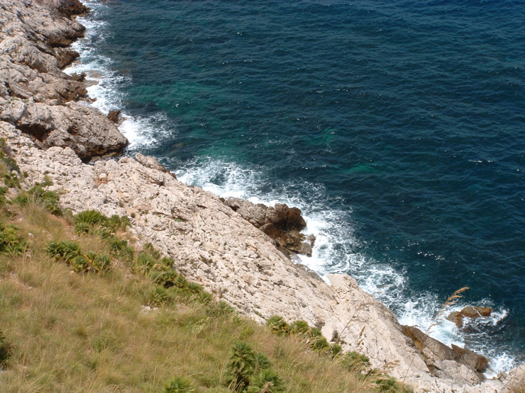 DSCF0063.JPG