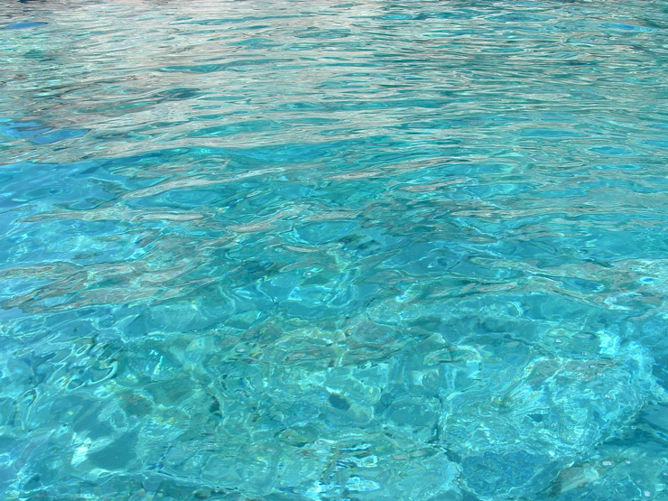 DSCF0090.JPG