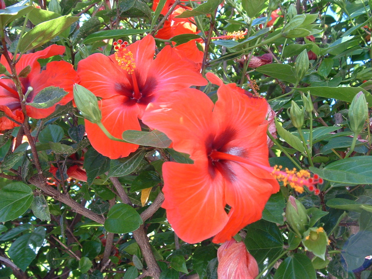 DSCF0109.JPG