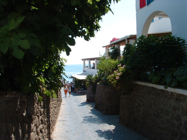 DSCF0026.JPG