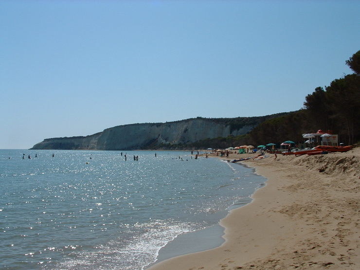 DSCF0010.JPG