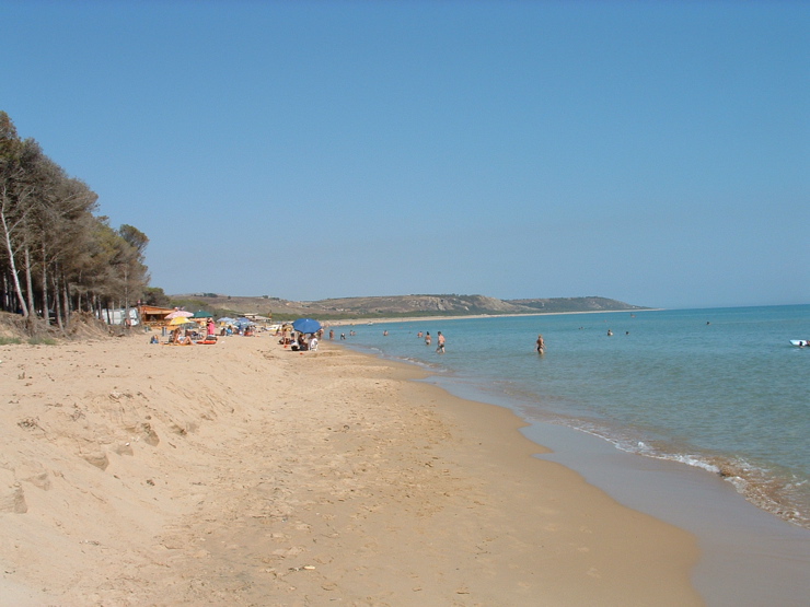 DSCF0011.JPG