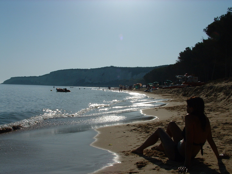 DSCF0013.JPG