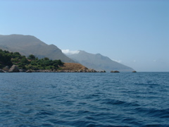 DSCF0046.JPG
