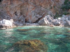 DSCF0047.JPG