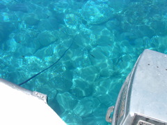 DSCF0041.JPG