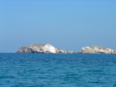DSCF0043.JPG