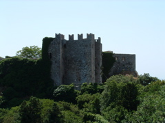 DSCF0039.JPG