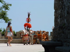 DSCF0040.JPG
