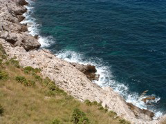 DSCF0063.JPG