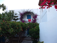 DSCF0047.JPG