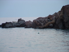 DSCF0052.JPG