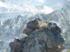 DSCF0070.JPG