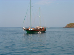 DSCF0081.JPG
