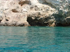 DSCF0089.JPG