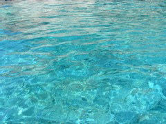 DSCF0090.JPG