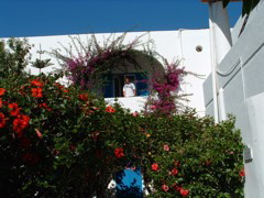 DSCF0105.JPG