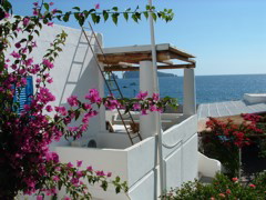 DSCF0111.JPG