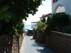 DSCF0026.JPG