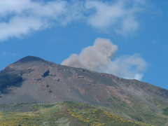 DSCF0145.JPG