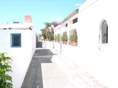 DSCF0148.JPG