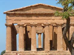 DSCF0163.JPG