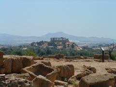 DSCF0008.JPG