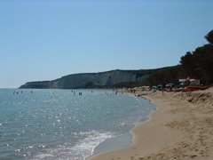 DSCF0010.JPG