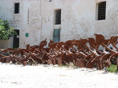DSCF0039.JPG